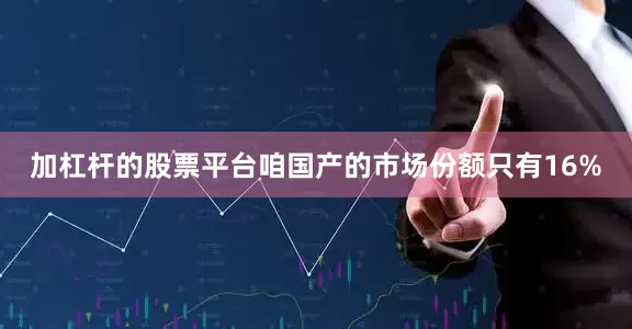 加杠杆的股票平台咱国产的市场份额只有16%