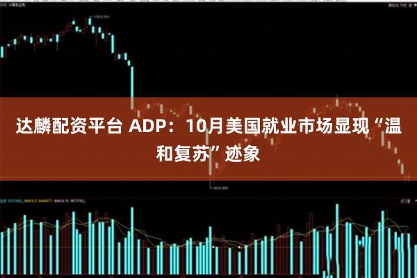 达麟配资平台 ADP：10月美国就业市场显现“温和复苏”迹象