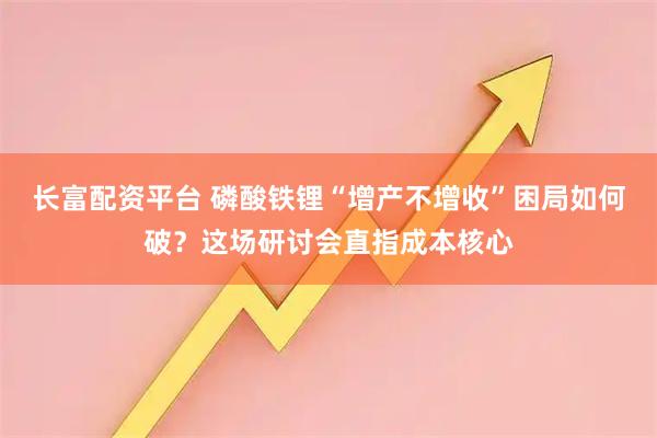 长富配资平台 磷酸铁锂“增产不增收”困局如何破？这场研讨会直指成本核心